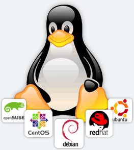 Linux Dedicated Server