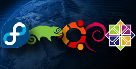 Which are the available Linux distributions ?